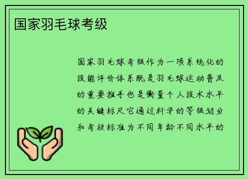 国家羽毛球考级