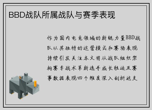 BBD战队所属战队与赛季表现